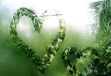 开云体育官方网站-跨界传奇，希腊铁骑横扫绿茵场，努涅斯之名响彻NBA总决赛